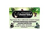 Логотип Pantera, пейнтбольный клуб