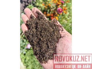 ������ ��� �����: ��������� +1,5�2 �� ������ � ����� ������� ������