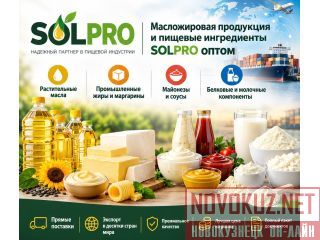 ������������ ��������� � ������� ����������� SolPro ����� ������